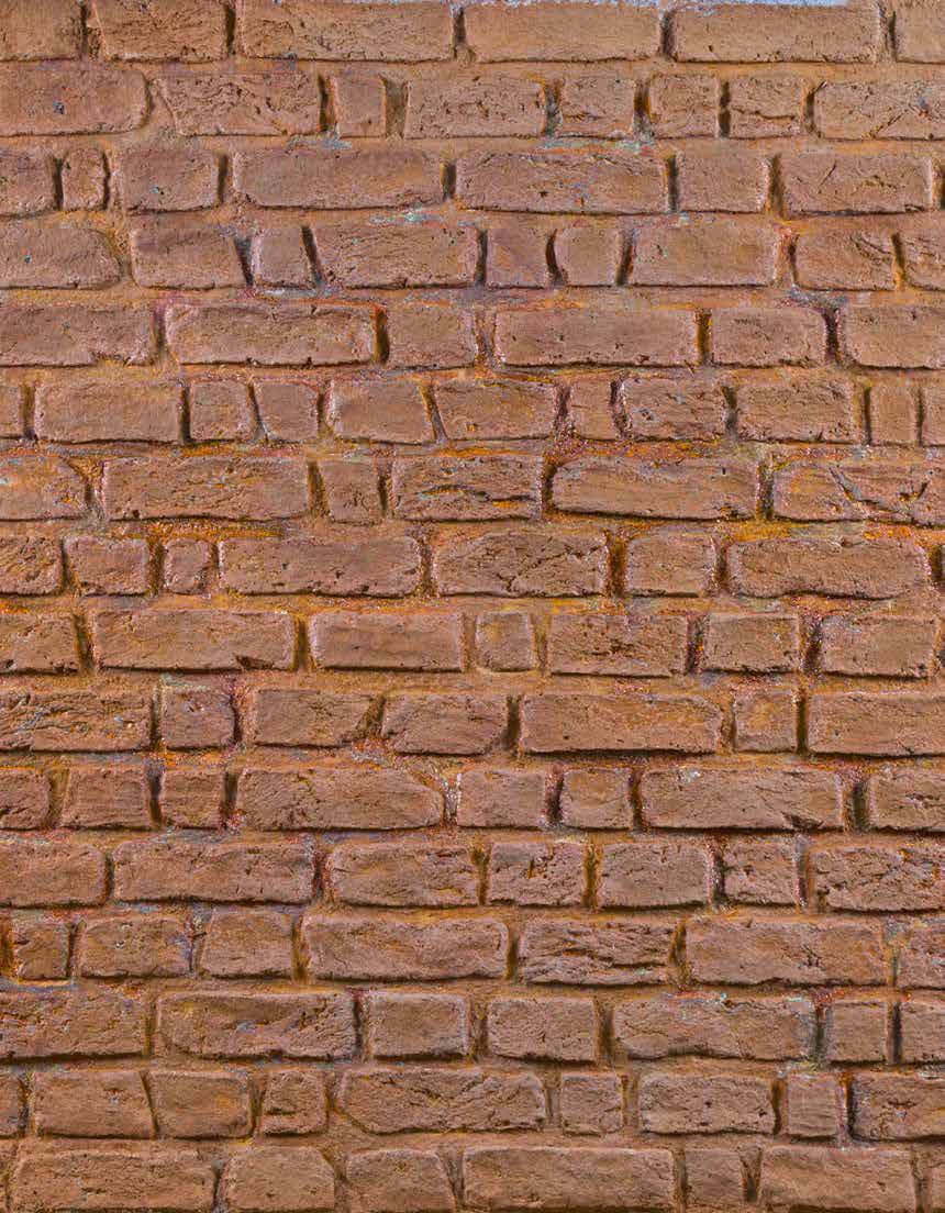 Burton Pas Fibrarte Koleksiyonu