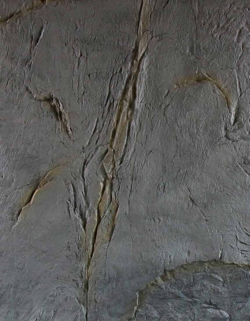 Palashke Vento Fibrarte Koleksiyonu