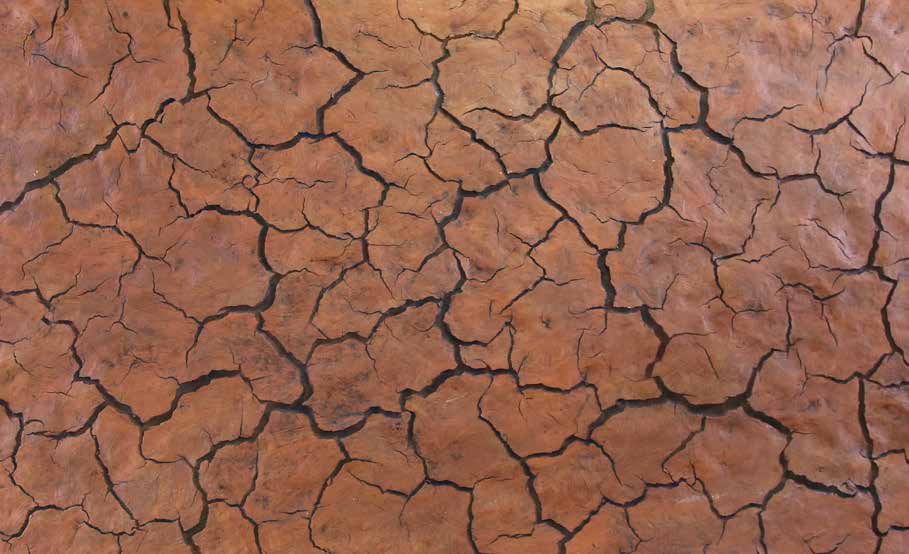 Kalahari Caldo Fibrarte Koleksiyonu