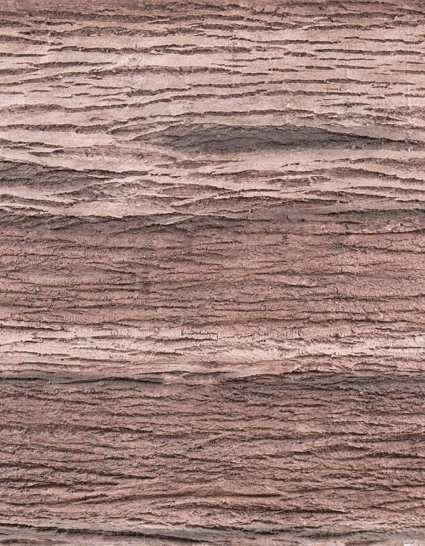 Conchiglia Legno Fibrarte Koleksiyonu